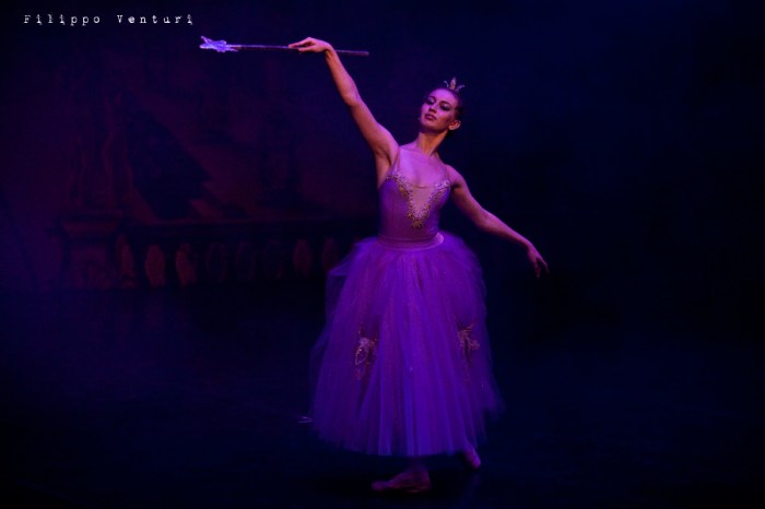 New Classical Ballet of Moscow, Cinderella, photo 1