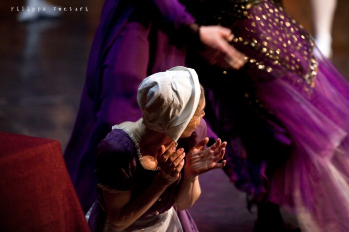 New Classical Ballet of Moscow, Cinderella, photo 6