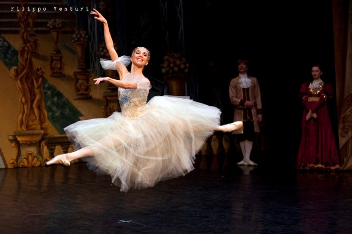 New Classical Ballet of Moscow, Cinderella, photo 21