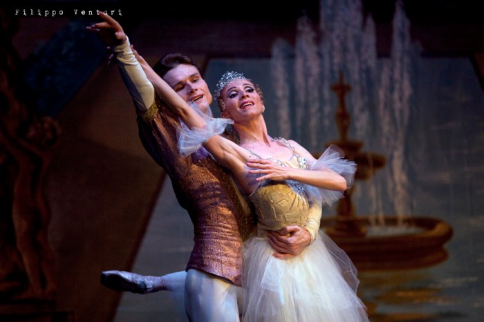 New Classical Ballet of Moscow, Cinderella, photo 23