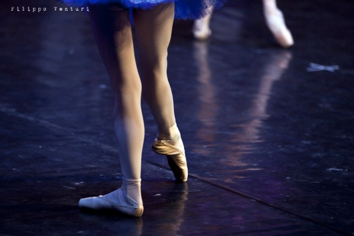 Balletto di Mosca, La bella addormentata, foto 1