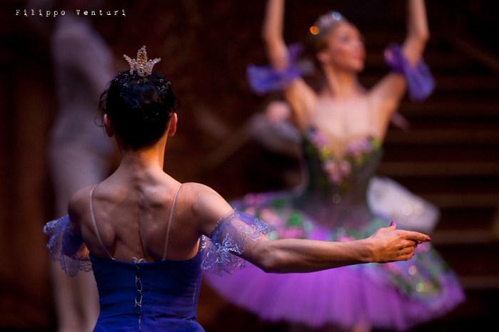 Balletto di Mosca, La bella addormentata, foto 3