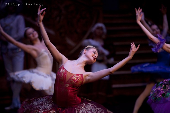 Balletto di Mosca, La bella addormentata, foto 4