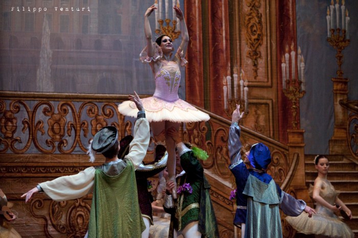 Balletto di Mosca, La bella addormentata, foto 21