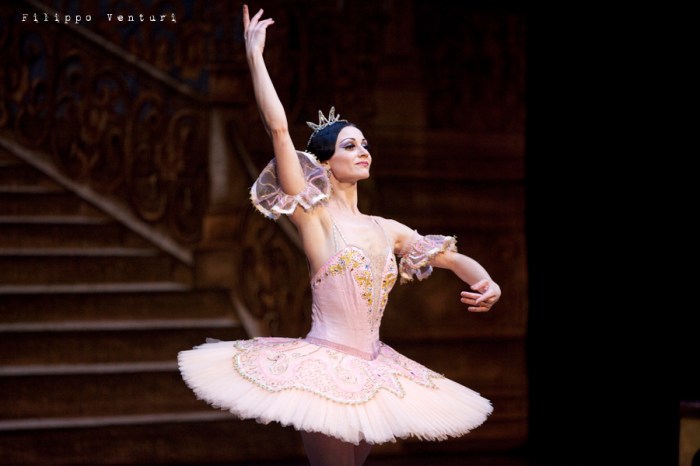 Balletto di Mosca, La bella addormentata, foto 23