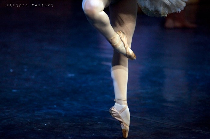 Balletto di Mosca, La bella addormentata, foto 25