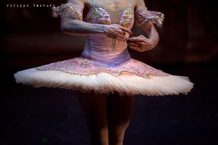 Balletto di Mosca, La bella addormentata, foto 26