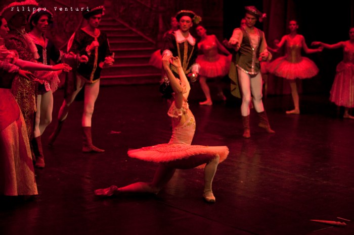 Balletto di Mosca, La bella addormentata, foto 28