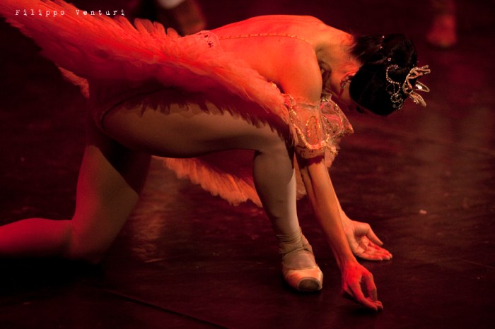 Balletto di Mosca, La bella addormentata, foto 29