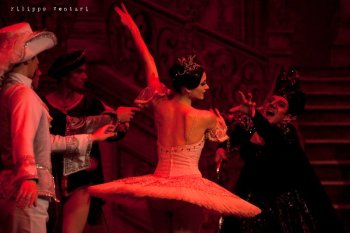 Balletto di Mosca, La bella addormentata, foto 30
