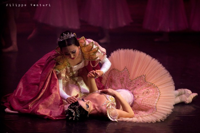 Balletto di Mosca, La bella addormentata, foto 33