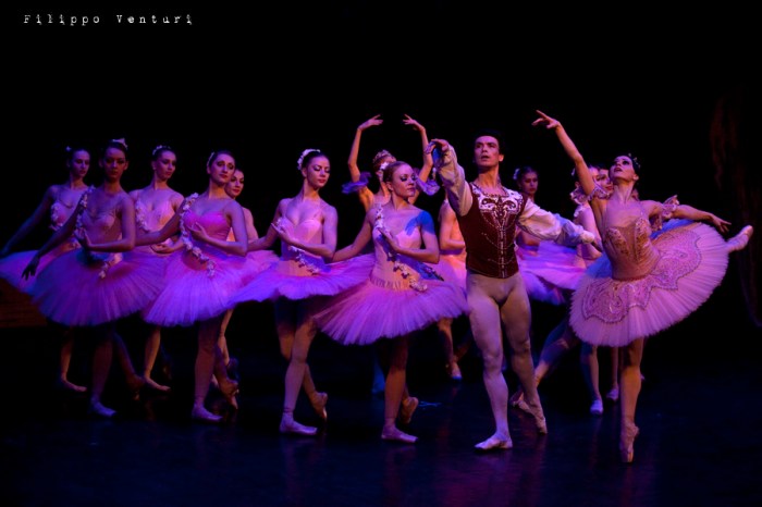 Balletto di Mosca, La bella addormentata, foto 41