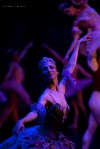 Balletto di Mosca, La bella addormentata, foto&nbsp;42
