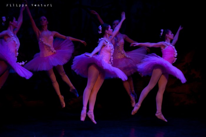 Balletto di Mosca, La bella addormentata, foto 45