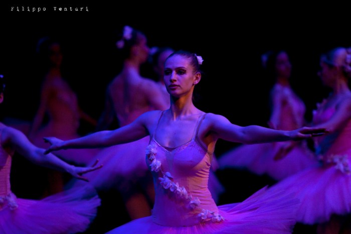 Balletto di Mosca, La bella addormentata, foto 47