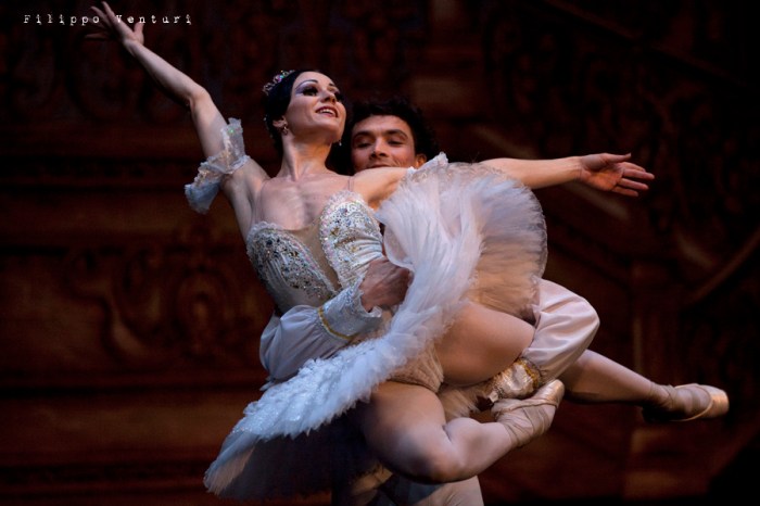 Balletto di Mosca, La bella addormentata, foto 53