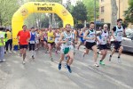Diabetes Marathon 2014, Forlì, foto&nbsp;11