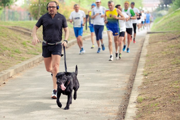 Diabetes Marathon 2014, Forlì, foto 24