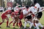 Romagna Rugby – Rugby Colorno, foto&nbsp;6