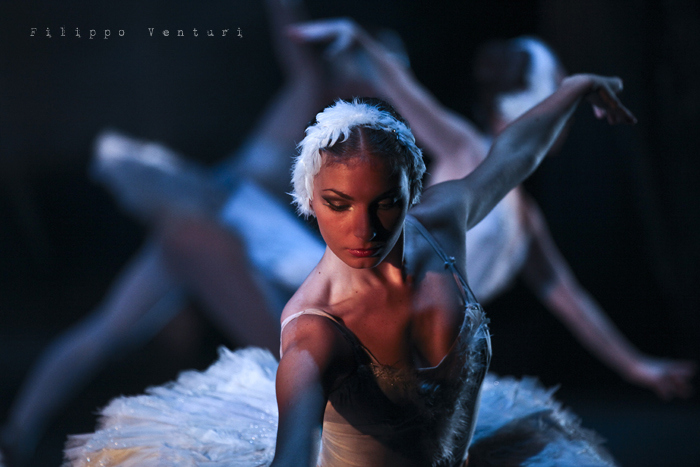 Mostra fotografica, Il lago di cigni