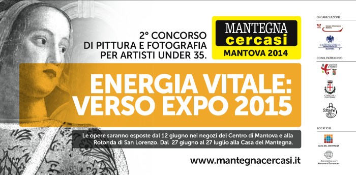 Mantegna cercasi 2014, Concorso Internazionale di Arte Contemporanea