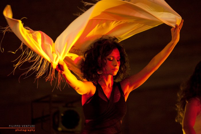 Saggio Khatawat 2014, foto 13