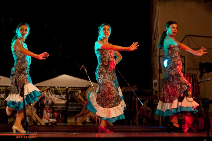 Saggio Khatawat 2014, foto 44