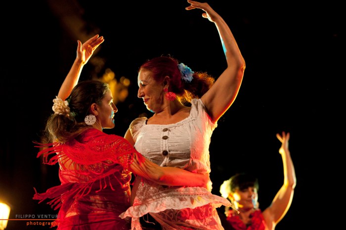 Saggio Khatawat 2014, foto 45