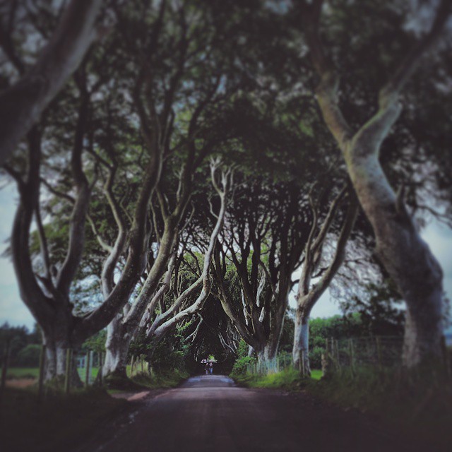 Ireland travel, photo 15