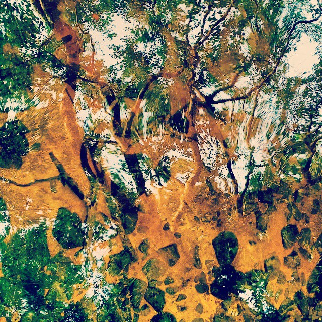 Ireland travel, photo 27