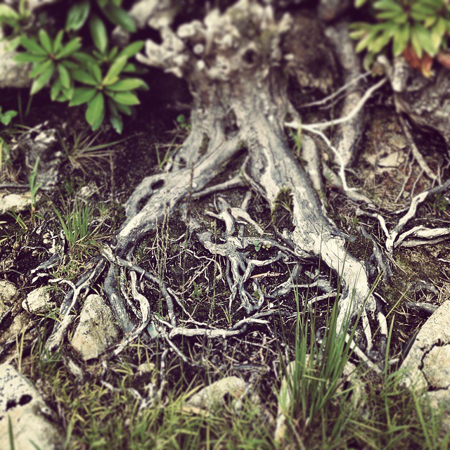 Ireland travel, photo 28