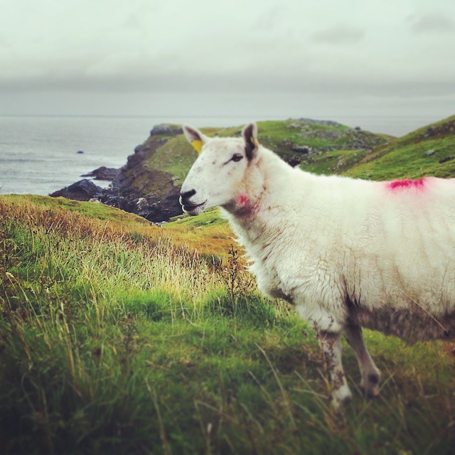 Ireland travel, photo 32