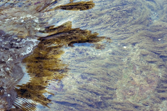 ConCorso 2012, foto 16 (zona fiume: Gorgo dello spicchio)