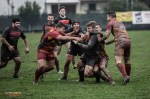 Rugby photography, #65
