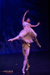 Moscow Ballet, The Nutcracker, photo&nbsp;38