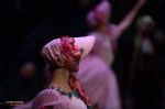 Moscow Ballet, The Nutcracker, photo&nbsp;56
