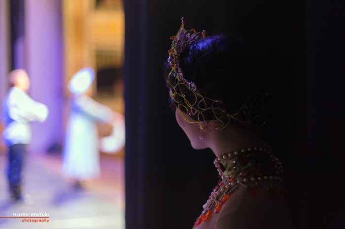 Moscow Ballet, The Nutcracker, photo 65