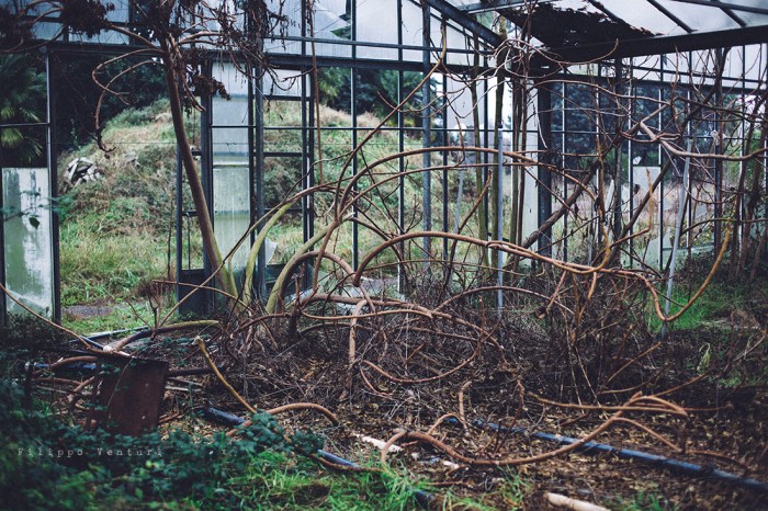 Serra abbandonata, Forlì, #05