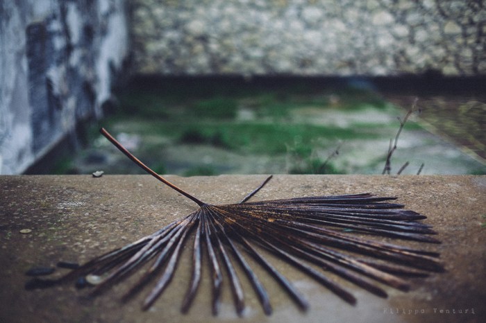 Serra abbandonata, Forlì, #07