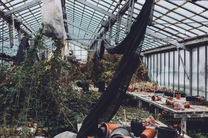 Serra abbandonata, Forlì, #08