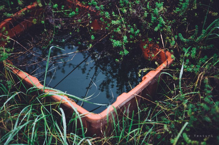 Serra abbandonata, Forlì, #16