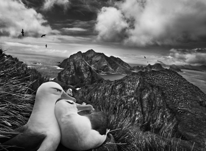 Sebastiao Salgado, photo 5