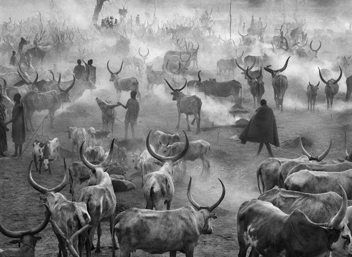 Sebastiao Salgado, photo 17