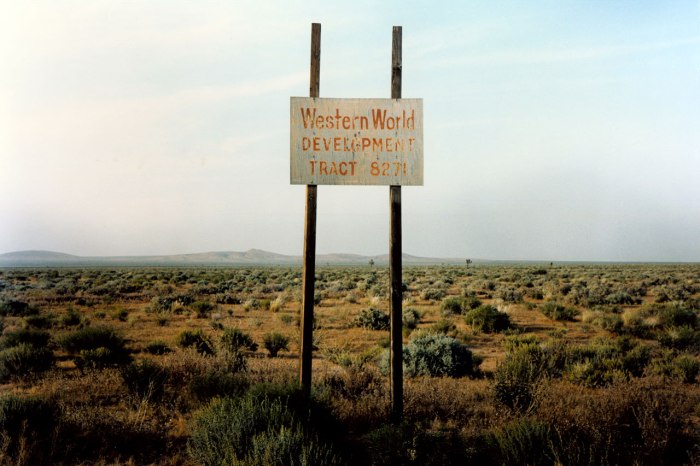 Wim Wenders, photo 2