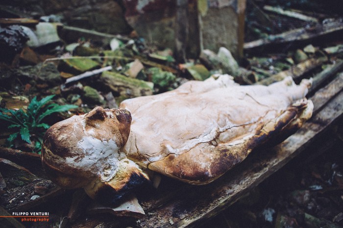 Chiesa di San Petrignone, foto 11