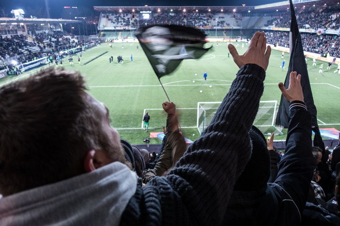 Stadio di Cesena, foto 6