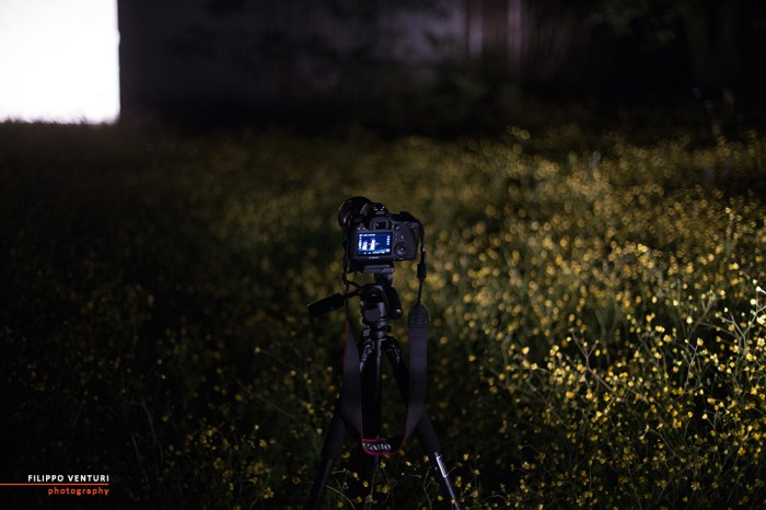 Villa Murgia, Imola, foto 5