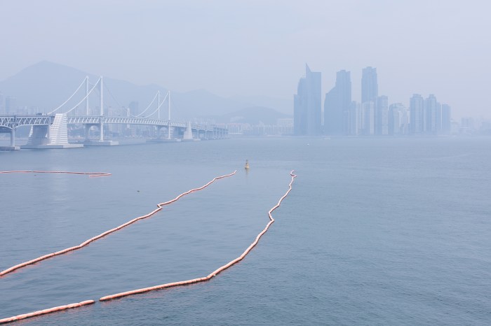 Filippo Venturi, Made in Korea