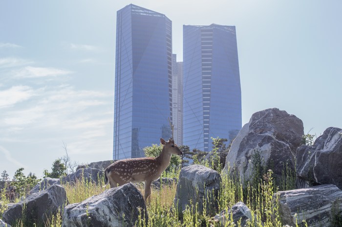 Filippo Venturi, Made in Korea