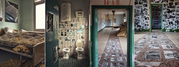 FreeMe, Festival delle Arti